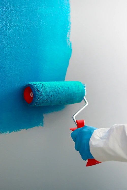 External Painting Services services
